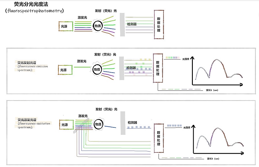 激發(fā)濾光片 激發(fā)濾光片