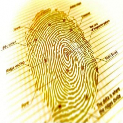 2019年政府工作報告和濾光片的發(fā)展